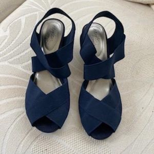 Blue Wedge